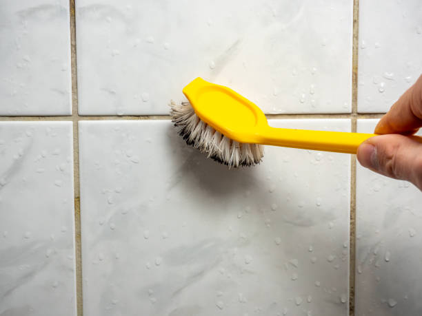 Best Mold Remediation  in Munising, MI