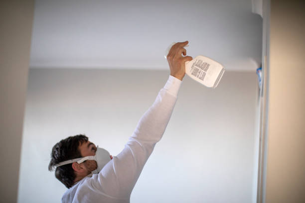 Best Office Mold Removal Services  in Munising, MI